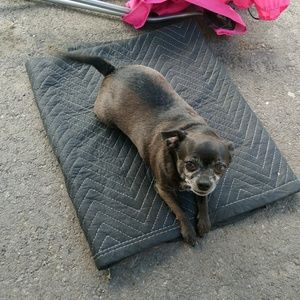 Meet your Posher, Mandi